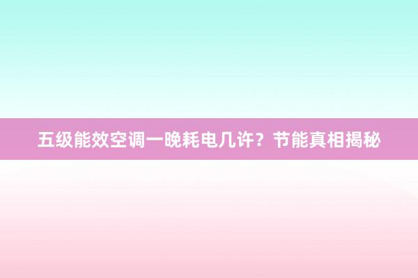 五级能效空调一晚耗电几许？节能真相揭秘